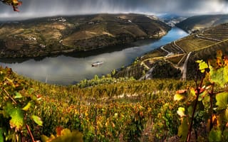 Картинка тучи, плантации, река, Valenca Do Douro, теплоход, дождь, Португалия, поля