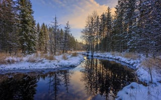 Картинка зима, река, снег, деревья