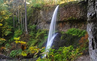 Картинка осень, лес, Silver Falls State Park, водопад, США, скала, парк