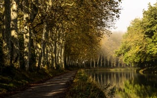 Картинка деревья, Castelnaudary, дорожка, Франция, парк, река