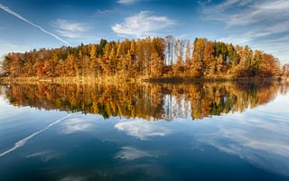 Обои лес, озеро, отражение, осень