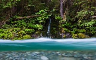 Картинка лес, Bacon Creek, река, ручей, США, водопад, Mount Baker-Snoqualmie National Forest, штат Вашингтон