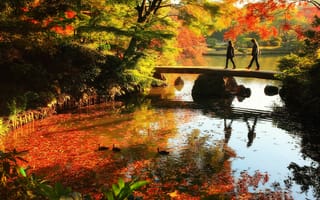 Картинка пейзаж, осень, деревья, листья, отражение, вода, люди, мостик
