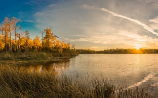 Картинка осень, рассвет, желтые, США, озеро, Lake Metigoshe, листья, деревья, камыши