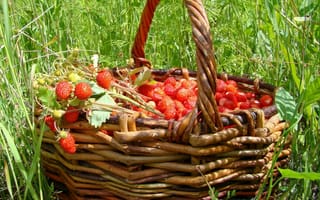 Картинка земляника, ягоды, лето, трава, корзина