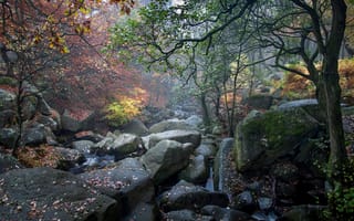 Картинка осень, Великобритания, деревья, лес, мох, камни, Padley Gorge, ручей, листья