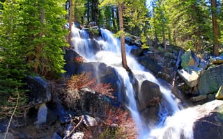 Картинка лес, солнечно, Калифорния, Йосемити, кусты, брызги, деревья, камни, водопад, США