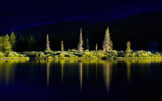 Картинка деревья, Swiftcurrent Lake, Монтана, пейзаж, озеро, США, Glacier National Park