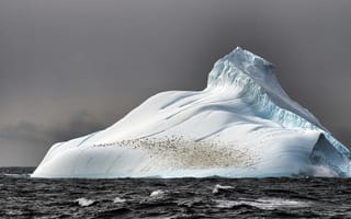 Картинка лед, айсберг, глыба, море