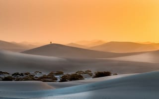 Картинка люди, утро, пустыня