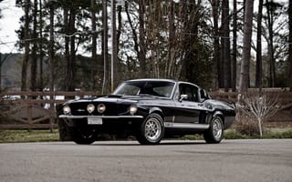 Обои Mustang, форд, Ford, GT350, мустанг, шелби, Shelby, 1967