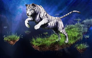 Картинка животное, трава, прыжок, взгляд, лапы, тигр, белый, звезды, небо