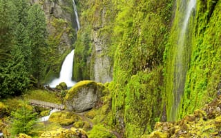 Картинка зелень, мостик, тропинка, ручей, Columbia River, Wahclella Falls, Oregon, камни, водопад, деревья, скалы, США, мох