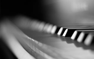 Обои пианино, макро, черно-белое, клавиши