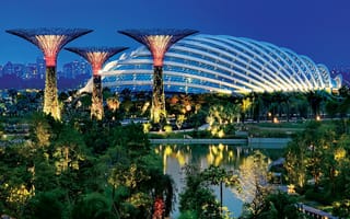 Картинка Сингапур, парк, огни, вечер, подсветка