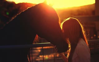 Картинка девушка, друзья, лошадь, закат