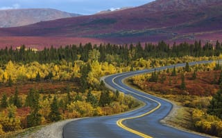 Картинка Аляска, дорога, деревья, осень, лес