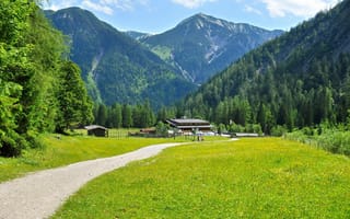 Картинка горы, Eben am Achensee, пейзаж, трава, Австрия, природа, Tyrol