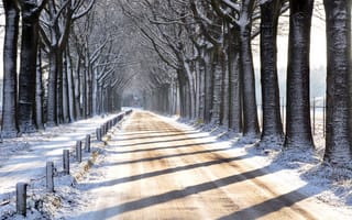 Картинка дорога, пейзаж, зима
