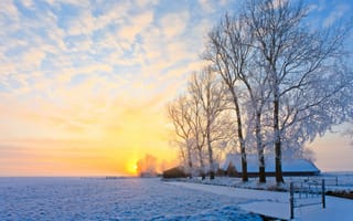 Картинка зима, деревня, снег, солнце, дома, деревья