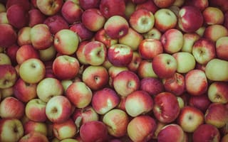 Картинка яблоки, изобилие, урожай