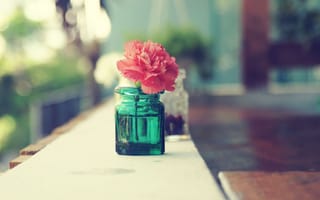 Картинка cool, flower, awesome, bottle, zoom, macro, nice, amazing