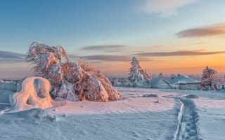 Картинка зима, снег, закат, пейзаж