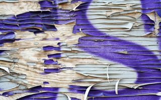 Картинка spray paint, violet, white, wood, pattern