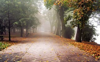 Картинка осень, аллея, пейзаж, грусть, туман, деревья, листья, парк