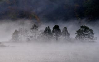 Обои осень, лес, туман, озеро