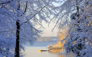 Картинка Lake Murray, South Carolina, Озеро Мюррей, снег, Южная Каролина, деревья, зима