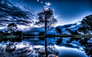 Картинка ночь, пейзаж, озеро, дерево