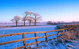 Картинка небо, зима, снег, забор, поле, иней, деревья