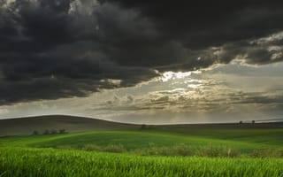 Картинка холмы, приближение бури, поле, пшеничное