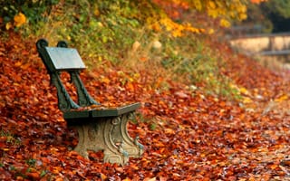Картинка осень, скамья, парк