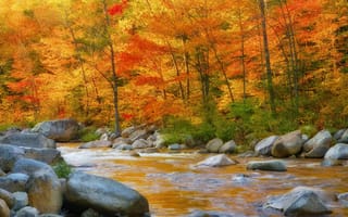 Картинка горы, река, камни, осень, листья, склон, поток, деревья