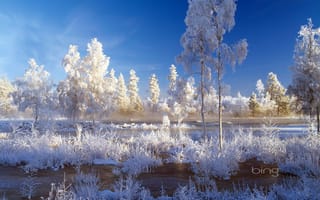 Картинка зима, иней, снег, небо, деревья, вода, пейзаж