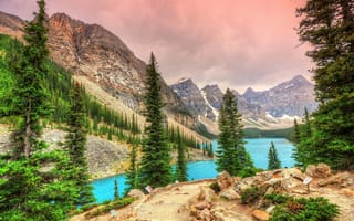 Картинка Moraine Lake, ели, Valley of the Ten Peaks, деревья, Банф, Озеро Морейн, долина Десяти пиков, Канада, горы, Banff National Park, Canada