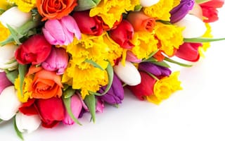 Картинка цветы, тюльпаны, букет