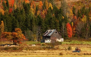 Картинка осень, дом, лес, природа, трактор, поле