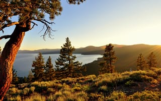 Картинка озеро Тахо, природа, калифорния, high sierra