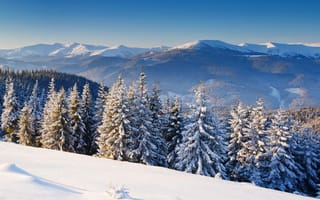 Обои зима, природа, пейзаж, горы, ель, снег