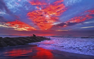 Картинка пляж, закат, волны, тучи, море, красный