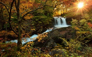 Картинка водопад, солнце, лес, осень, природа