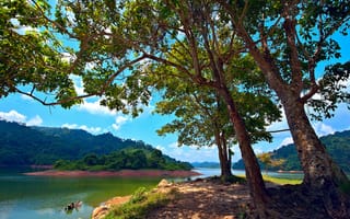 Картинка Pedu Lake, озеро, остров, Malaysia, деревья, Малайзия, Kedah