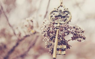 Картинка ключ, keys, цветок