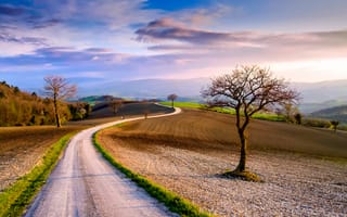 Картинка Италия, поля, весна, небо, март, деревья, облака, дорога