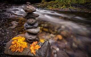 Картинка река, осень, листья, камни