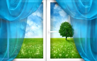 Картинка окно, шторы, трава, поле, дерево, одуванчики