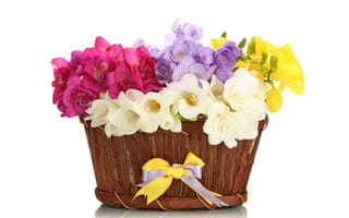 Обои flowers, букет, бант, basket, цветы, корзина